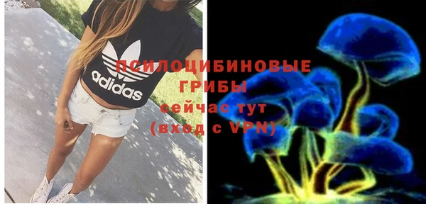 круглые Осташков
