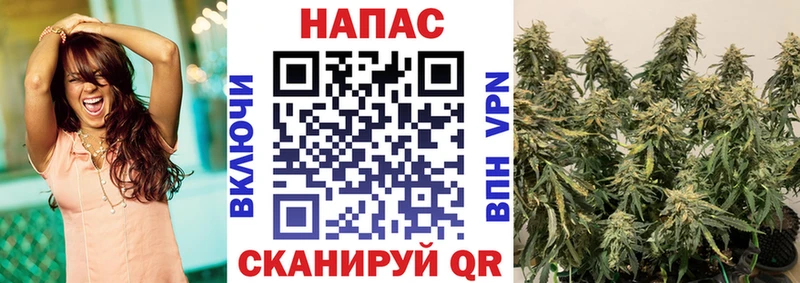 Шишки марихуана Ganja наркошоп Плёс